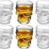 Circleware Skull Face Whiskey Shot
